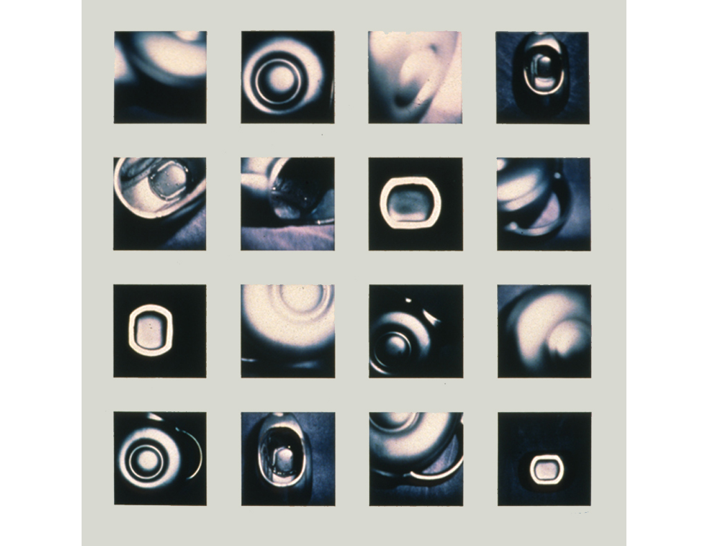 Grid of 16 Polaroids 2