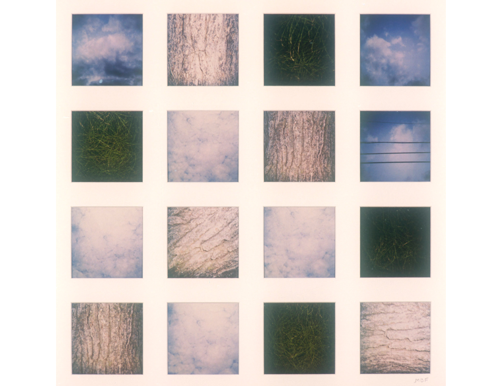 Grid of 16 Polaroids 5